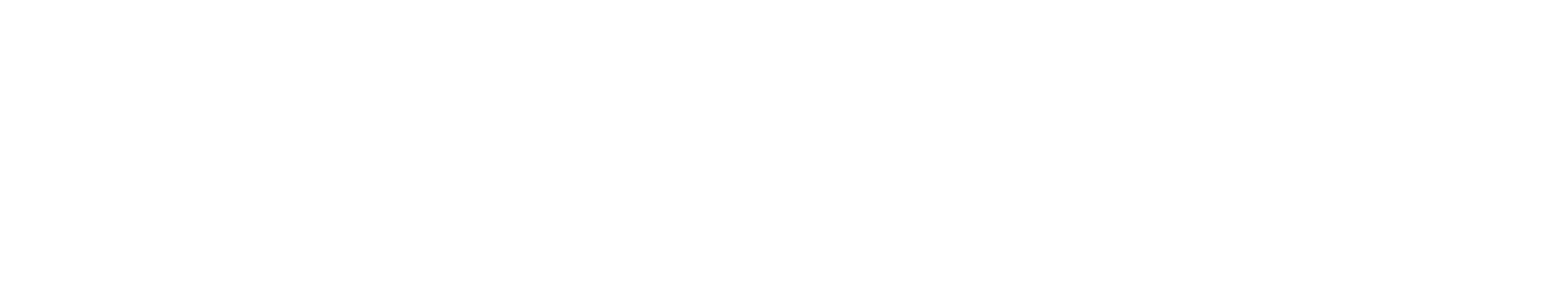 MARK EV